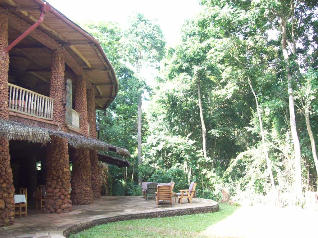 Mabira Rain Forest Lodge